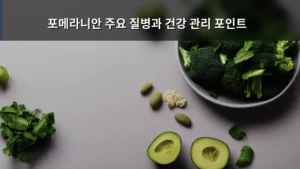 포메라니안 주요 질병과 건강 관리 포인트, 제대로 알고 돌보는 방법