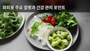 파피용의 건강, 제대로 알면 걱정 끝! 파피용 주요 질병과 건강 관리 포인트 총정리