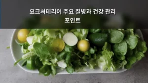 요크셔테리어 주요 질병과 건강 관리 포인트, 우리 강아지 지키는 법