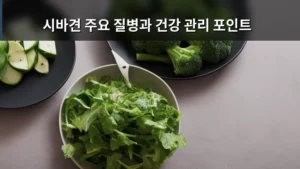 시바견 주요 질병과 건강 관리 포인트, 우리 아이 건강 지키기 완벽 가이드