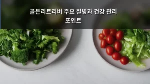 골든리트리버 주요 질병과 건강 관리 포인트 완벽 가이드