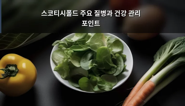 스코티시폴드 주요 질병과 건강 관리 포인트, 사랑스러운 귀를 위한 가이드
