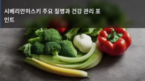 시베리안허스키 주요 질병과 건강 관리 포인트, 이것만 알면 만점 케어한다!