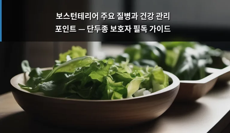 보스턴테리어 주요 질병과 건강 관리 포인트 — 단두종 보호자 필독 가이드