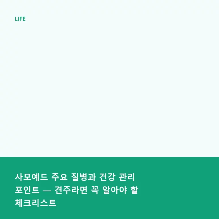 사모예드 주요 질병과 건강 관리 포인트 — 견주라면 꼭 알아야 할 체크리스트
