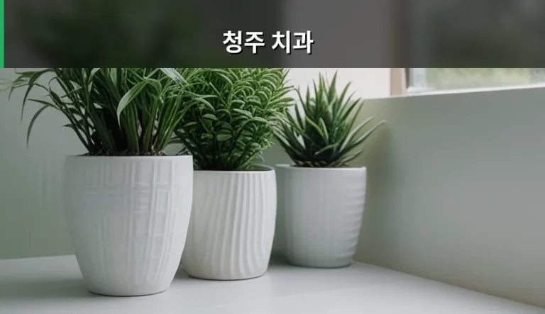 청주 치과 선택 기준과 과잉진료 피하는 방법
