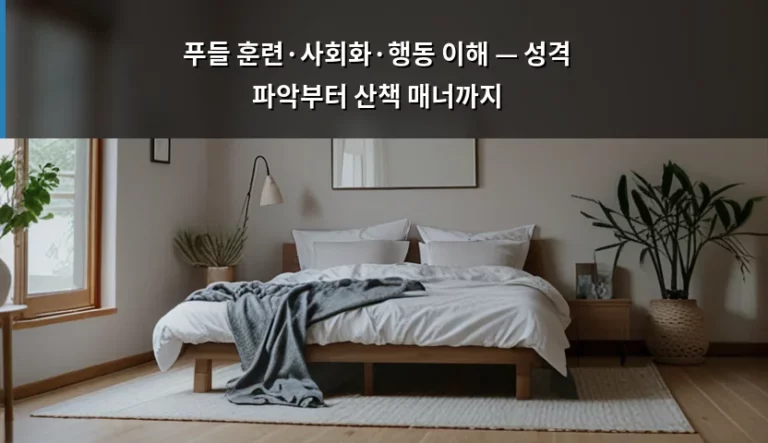 푸들 훈련·사회화·행동 이해 — 성격 파악부터 산책 매너까지