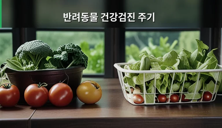 반려동물 건강검진 주기 연령별 권장 가이드