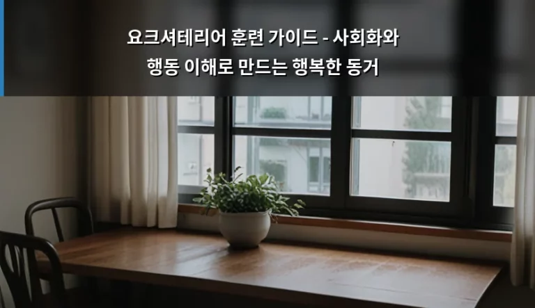 요크셔테리어 훈련 가이드 – 사회화와 행동 이해로 만드는 행복한 동거