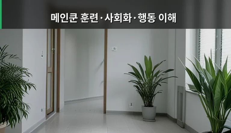 메인쿤 훈련·사회화·행동 이해를 위한 반려묘 가이드