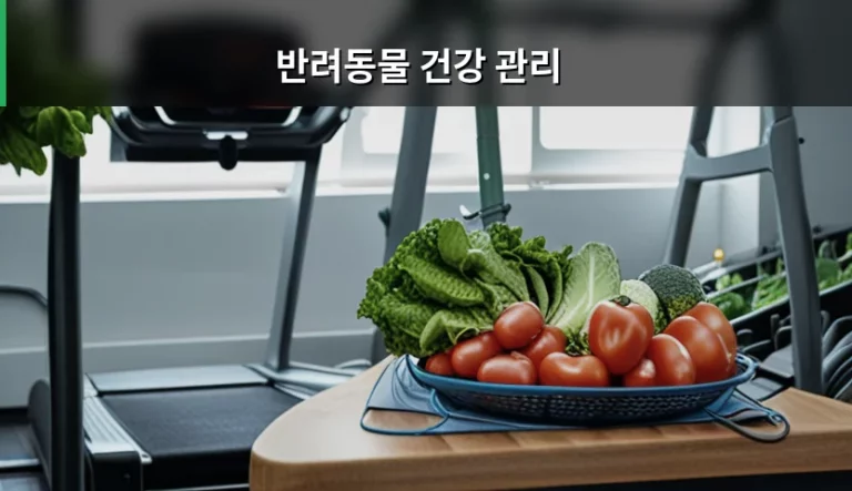 반려동물 건강 관리 주기와 맞춤형 케어 가이드