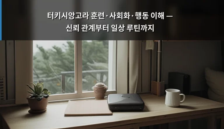 터키시앙고라 훈련·사회화·행동 이해 — 신뢰 관계부터 일상 루틴까지