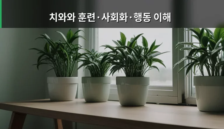 치와와 훈련·사회화·행동 이해를 위한 실전 가이드