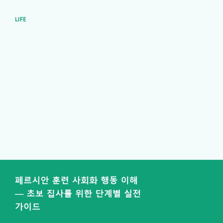 페르시안 훈련 사회화 행동 이해 — 초보 집사를 위한 단계별 실전 가이드