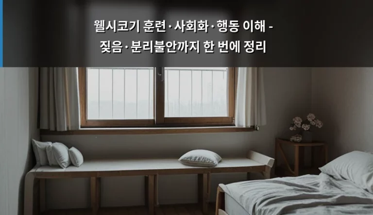 웰시코기 훈련·사회화·행동 이해 – 짖음·분리불안까지 한 번에 정리