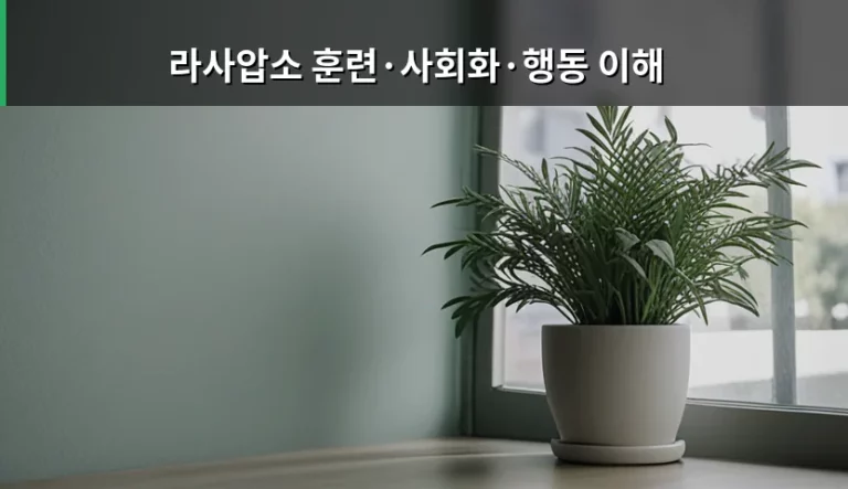 고집 센 라사압소 훈련 사회화 행동 이해 가이드