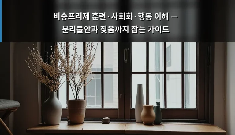 비숑프리제 훈련·사회화·행동 이해 — 분리불안과 짖음까지 잡는 가이드