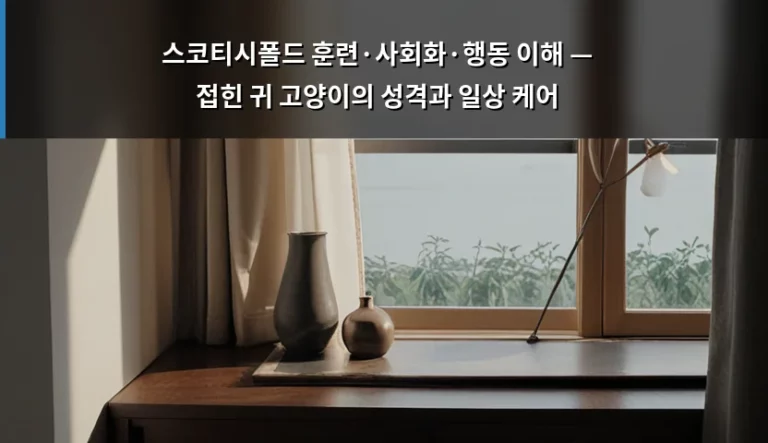스코티시폴드 훈련·사회화·행동 이해 — 접힌 귀 고양이의 성격과 일상 케어