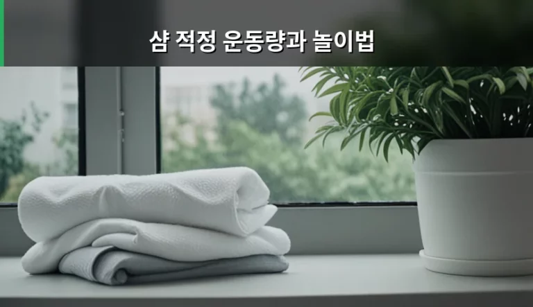 샴 고양이 성격에 맞춘 적정 운동량과 놀이법 가이드