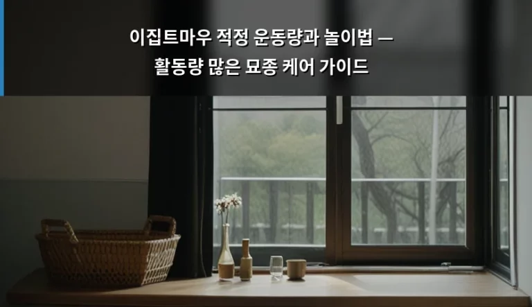 이집트마우 적정 운동량과 놀이법 — 활동량 많은 묘종 케어 가이드