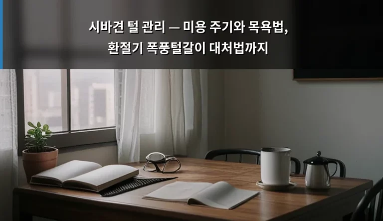 시바견 털 관리 — 미용 주기와 목욕법, 환절기 폭풍털갈이 대처법까지