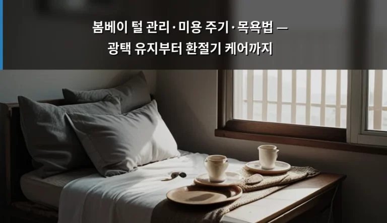 봄베이 털 관리·미용 주기·목욕법 — 광택 유지부터 환절기 케어까지