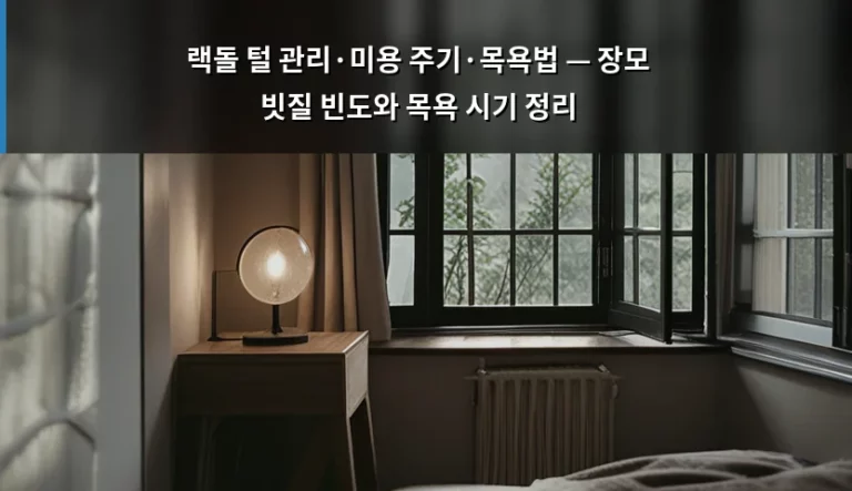 랙돌 털 관리·미용 주기·목욕법 — 장모 빗질 빈도와 목욕 시기 정리