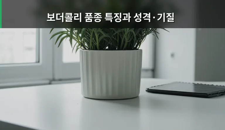 보더콜리 품종 특징과 성격·기질 완벽 분석 가이드
