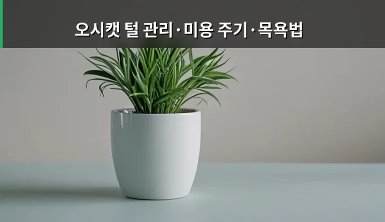 오시캣 털 관리·미용 주기·목욕법 맞춤 가이드