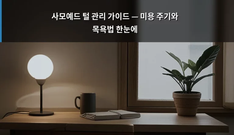 사모예드 털 관리 가이드 — 미용 주기와 목욕법 한눈에