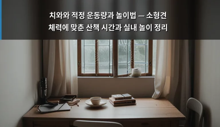 치와와 적정 운동량과 놀이법 — 소형견 체력에 맞춘 산책 시간과 실내 놀이 정리