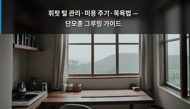 휘핏 털 관리·미용 주기·목욕법 — 단모종 그루밍 가이드