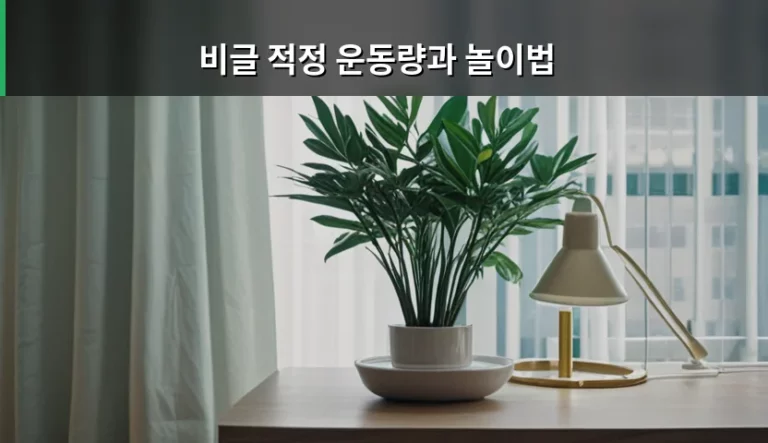 에너자이저 비글 적정 운동량과 놀이법 가이드