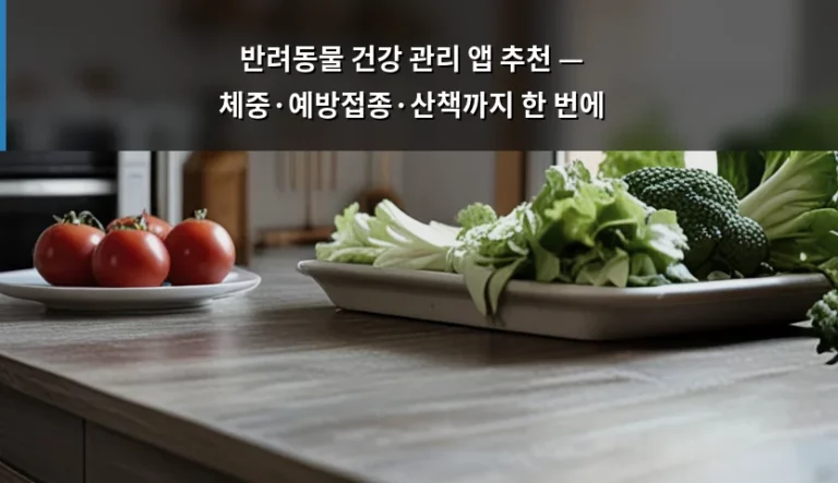 반려동물 건강 관리 앱 추천 — 체중·예방접종·산책까지 한 번에