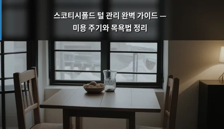 스코티시폴드 털 관리 완벽 가이드 — 미용 주기와 목욕법 정리