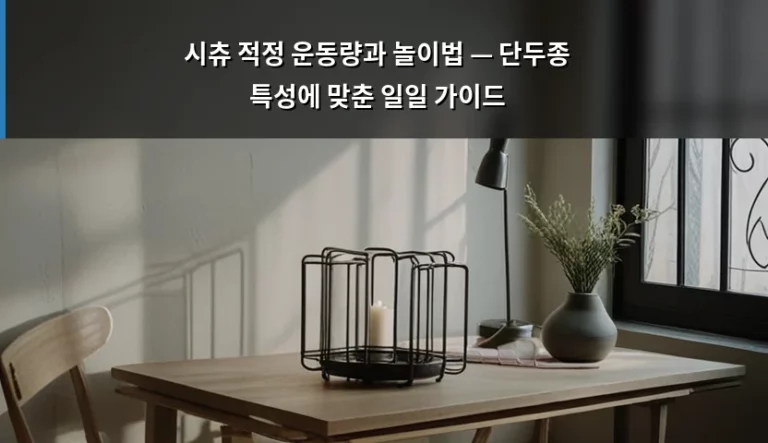 시츄 적정 운동량과 놀이법 — 단두종 특성에 맞춘 일일 가이드
