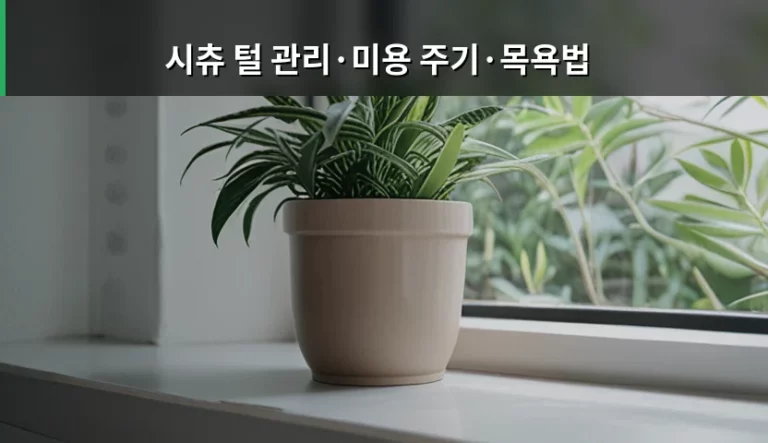 시츄 털 관리·미용 주기·목욕법 완벽 가이드