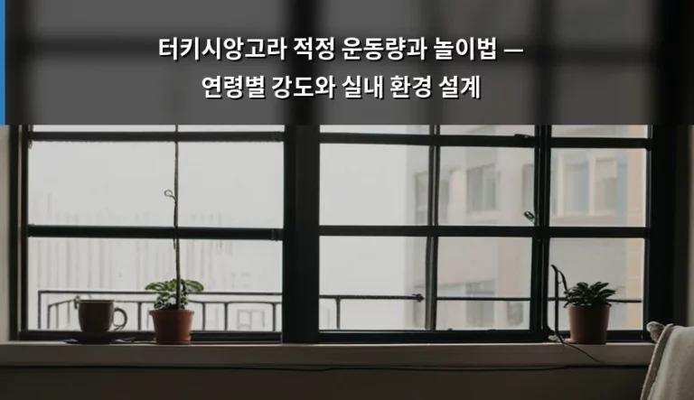 터키시앙고라 적정 운동량과 놀이법 — 연령별 강도와 실내 환경 설계