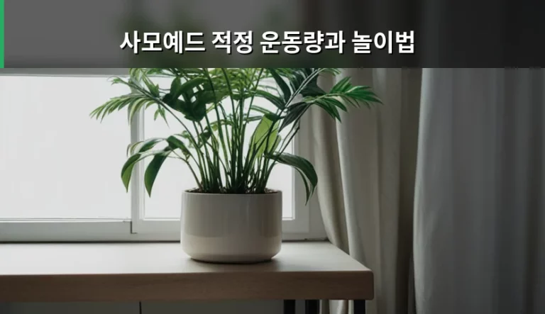 사모예드 적정 운동량과 놀이법 및 활동 가이드