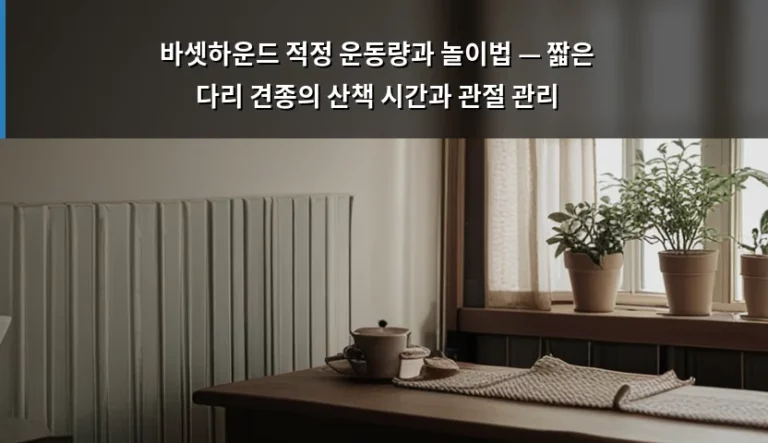 바셋하운드 적정 운동량과 놀이법 — 짧은 다리 견종의 산책 시간과 관절 관리