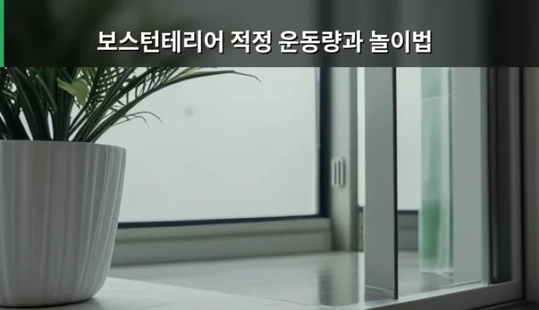 보스턴테리어 적정 운동량과 놀이법 맞춤 가이드