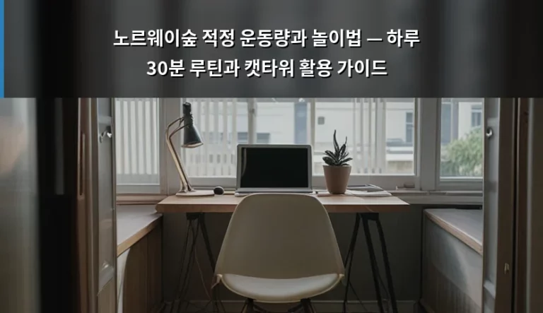 노르웨이숲 적정 운동량과 놀이법 — 하루 30분 루틴과 캣타워 활용 가이드