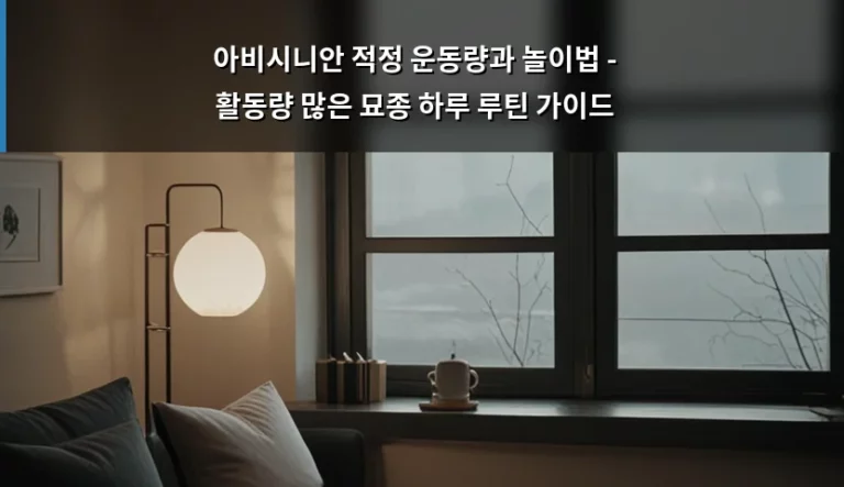 아비시니안 적정 운동량과 놀이법 – 활동량 많은 묘종 하루 루틴 가이드