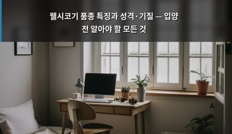 웰시코기 품종 특징과 성격·기질 — 입양 전 알아야 할 모든 것