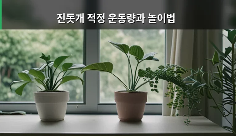 진돗개 적정 운동량과 놀이법 및 활동 가이드