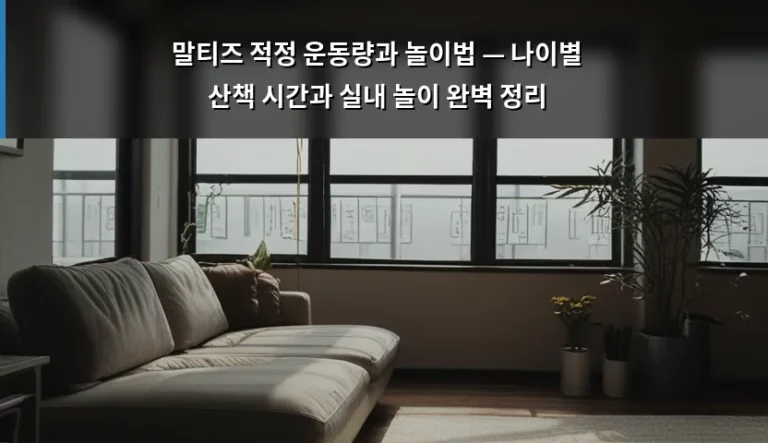 말티즈 적정 운동량과 놀이법 — 나이별 산책 시간과 실내 놀이 완벽 정리