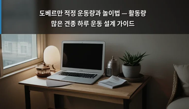 도베르만 적정 운동량과 놀이법 — 활동량 많은 견종 하루 운동 설계 가이드