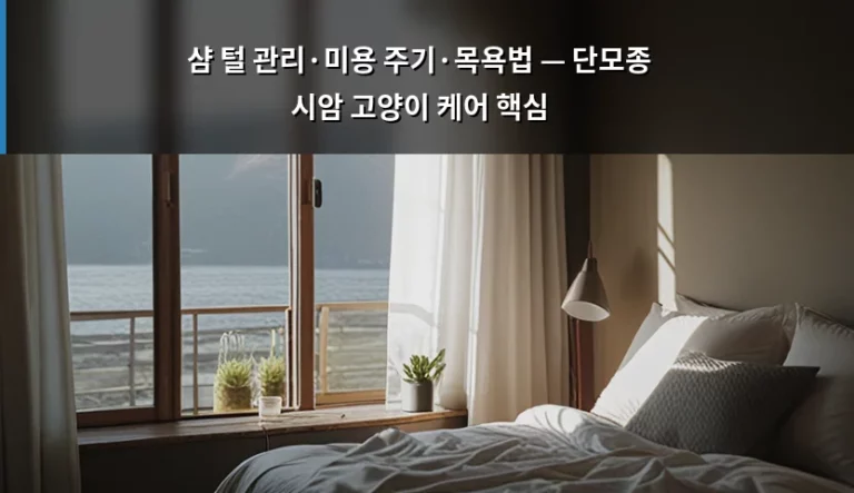 샴 털 관리·미용 주기·목욕법 — 단모종 시암 고양이 케어 핵심