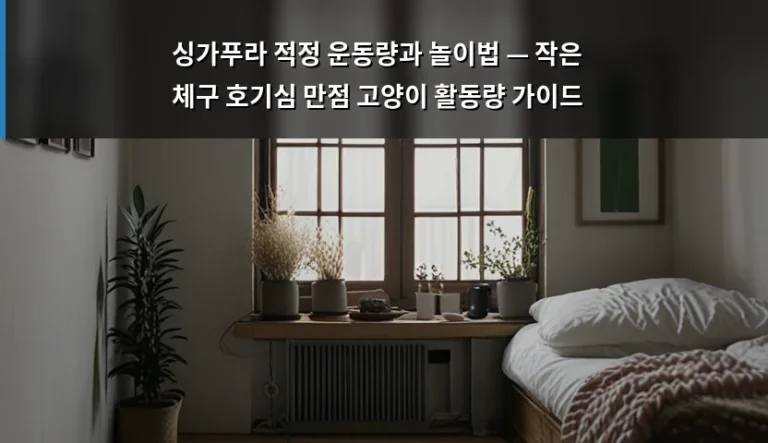 싱가푸라 적정 운동량과 놀이법 — 작은 체구 호기심 만점 고양이 활동량 가이드