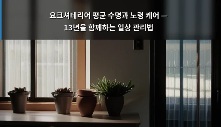요크셔테리어 평균 수명과 노령 케어 — 13년을 함께하는 일상 관리법